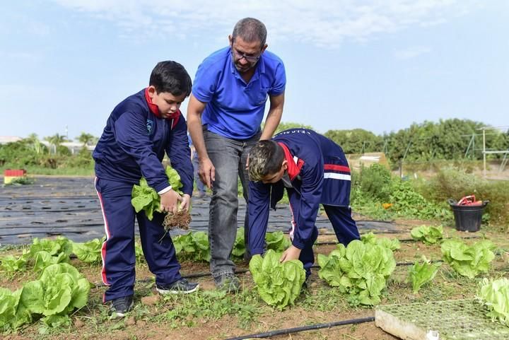 Visita escolar a la Granja Agricola del Cabildo