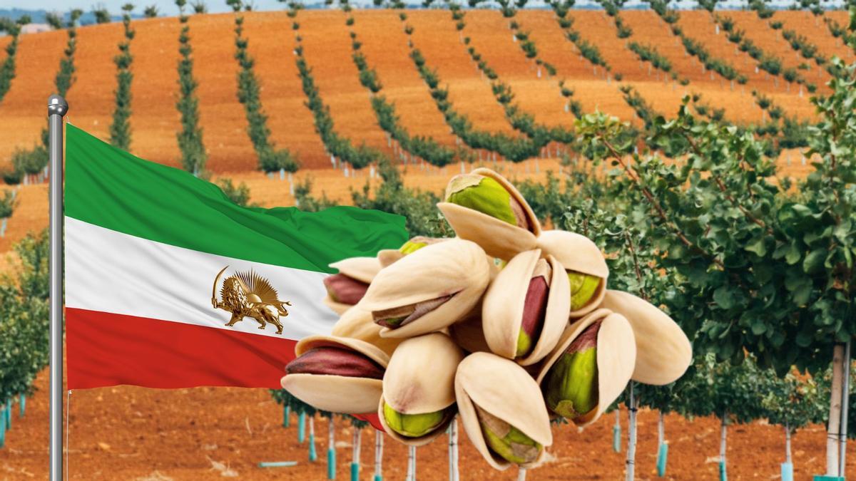 España importa unas 14.000 toneladas anuales, pero su producción interna crece rápidamente