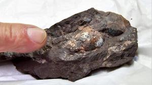 Imagen de unos huevos de dinosaurio fosilizados de hace 110 millones de años hallados en Japón.