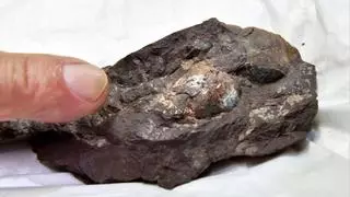 Hallado en Japón el huevo de dinosaurio fosilizado más pequeño nunca visto
