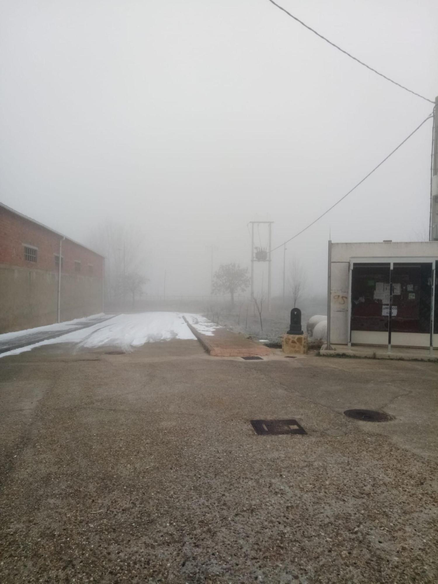 La cencellada deja imágenes espectaculares en Villaveza del agua