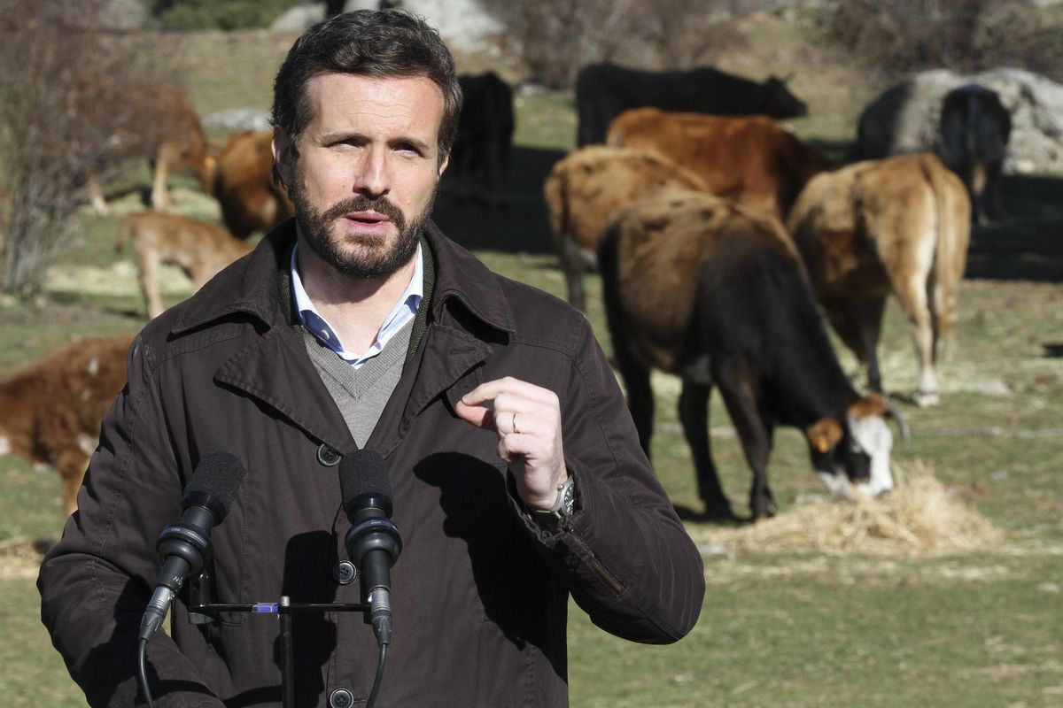 Casado amenaça de denunciar davant Europa el repartiment «a dit» dels fons europeus Casado amenaça de denunciar davant Europa el repartiment «a dit» dels fons europeus