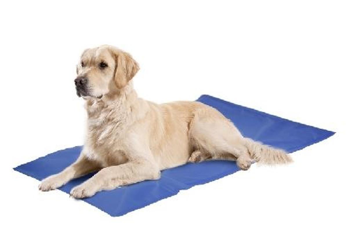 Productes curiosos per a mascotes