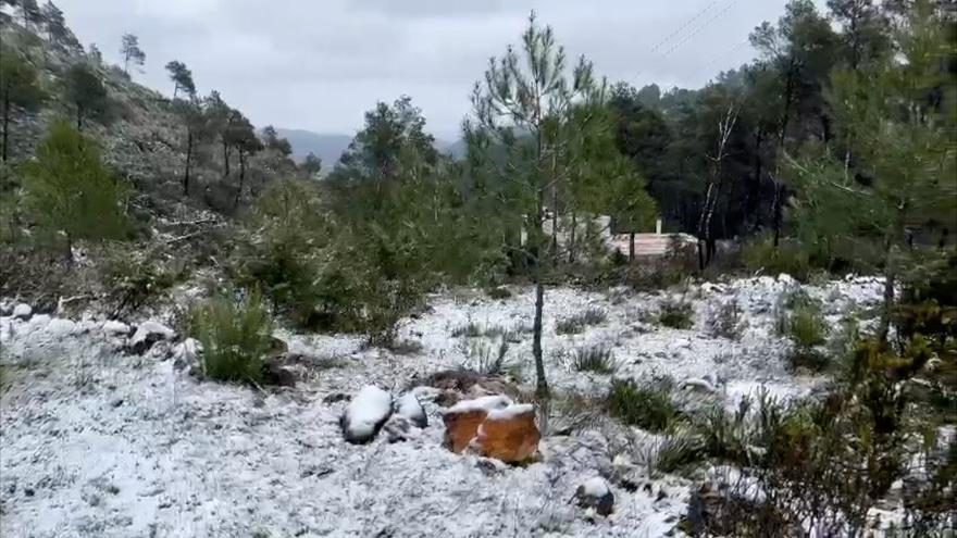 Vídeo de los atascos en Sant Joan, en Ibiza, provocados por la nieve de la borrasca