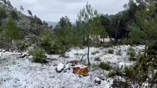 Atascos en Ibiza para ver la nieve