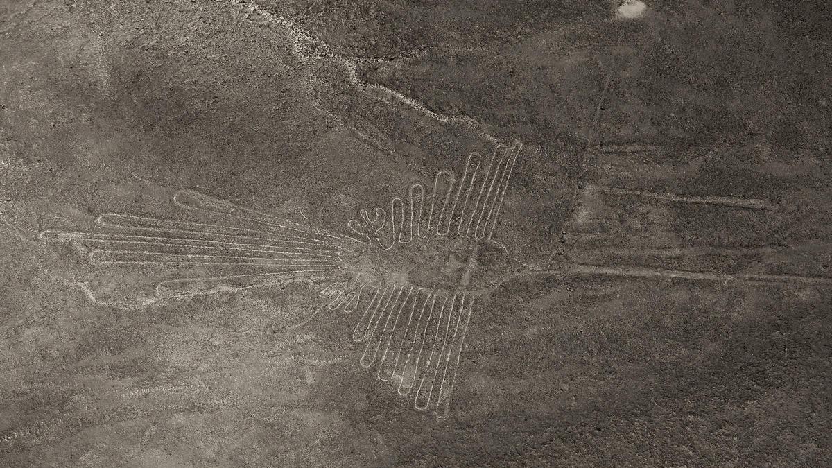 ACCIDENTE AÉREO | Al menos 13 muertos al estrellarse una avioneta con turistas cerca de las Líneas de Nazca, en Perú
