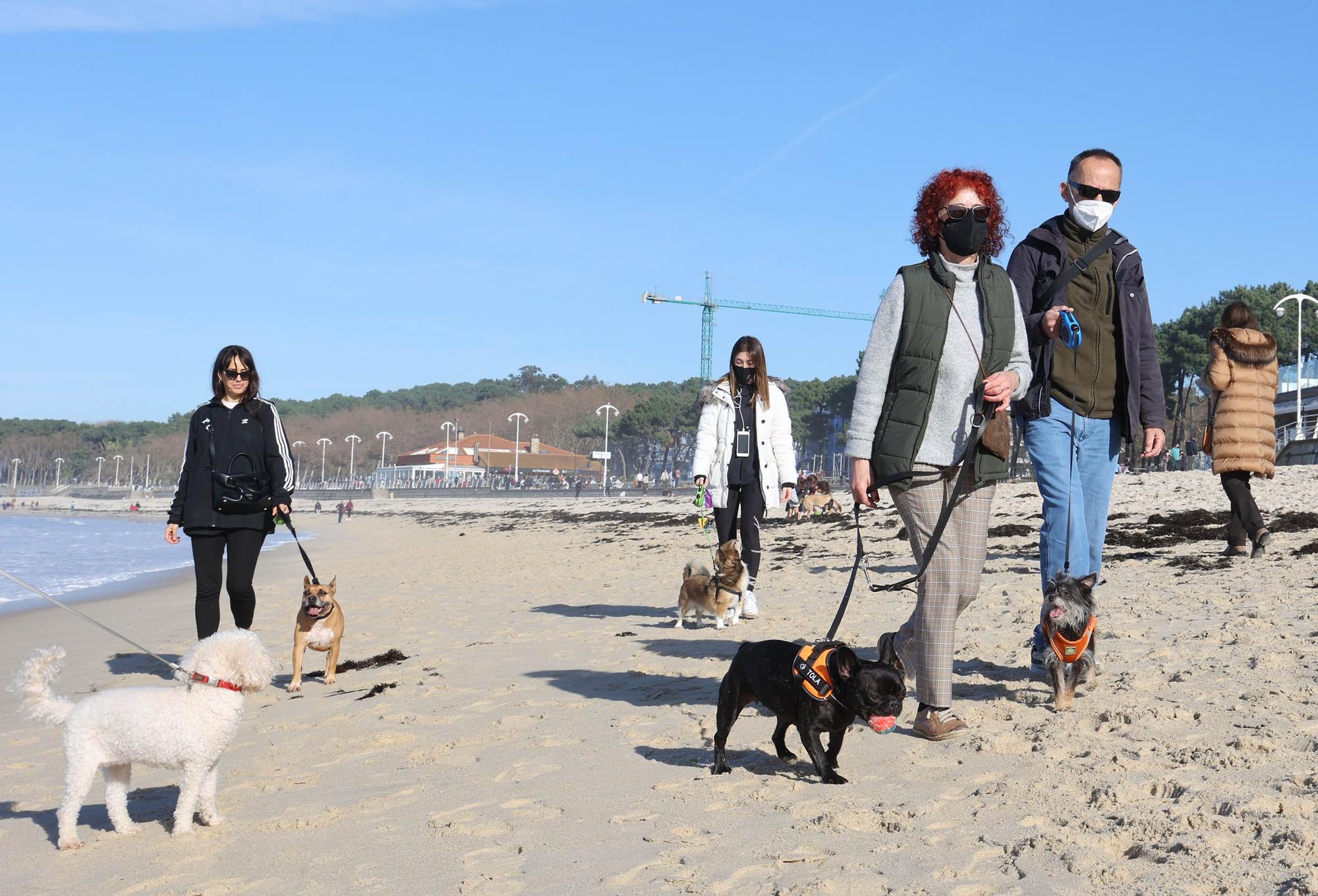 Vigueses y mascotas disfrutan del buen tiempo en Samil