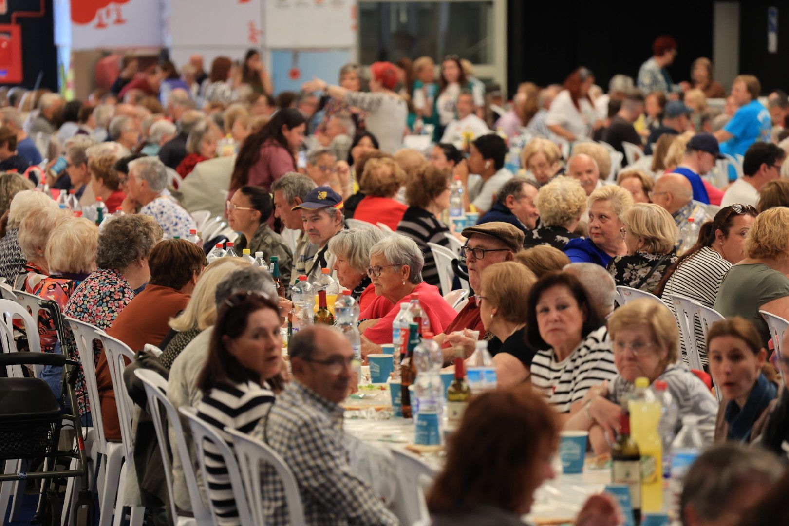 FOTOGALERÍA I Las imágenes de la sexta jornada (miércoles) de las fiestas patronales de Sant Pasqual en Vila-real