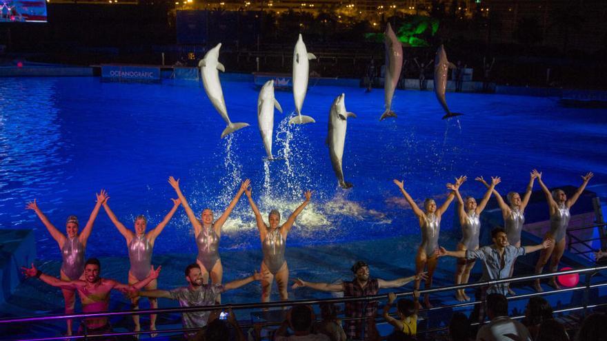 Las noches del Oceanogràfic iluminan València