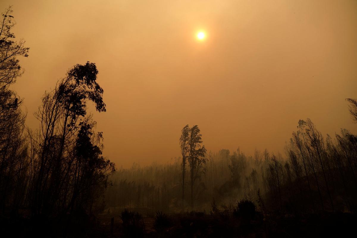 Los incendios que arrasan Chile dejan ya más de 20 muertos