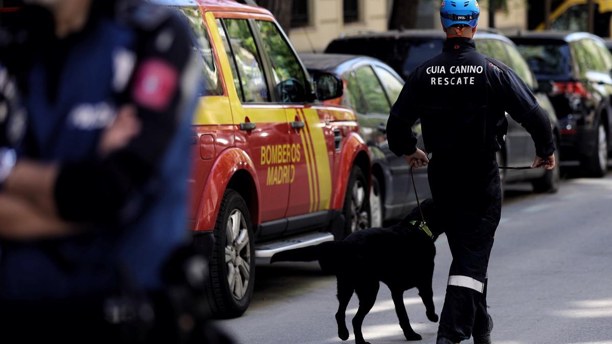 Los Bomberos utilizan perros para buscar a los operarios fallecidos entre los escombros de la explosión de Madrid.