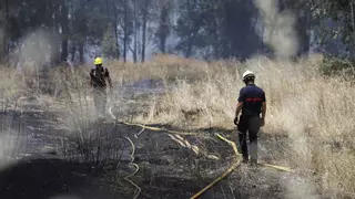 Los bomberos de Córdoba logran detener un incendio de pastos a escasos metros de una gasolinera en la A-4