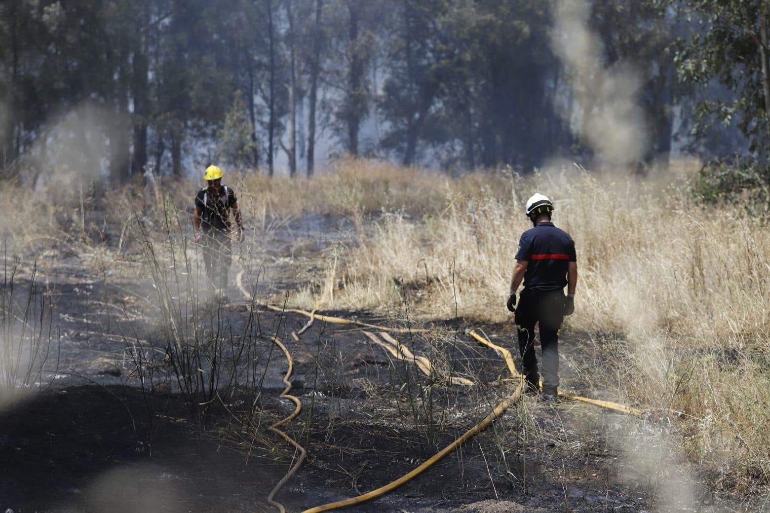 Un incendio de pastos junto al Parque Joyero moviliza a bomberos, Infoca y Policía Local