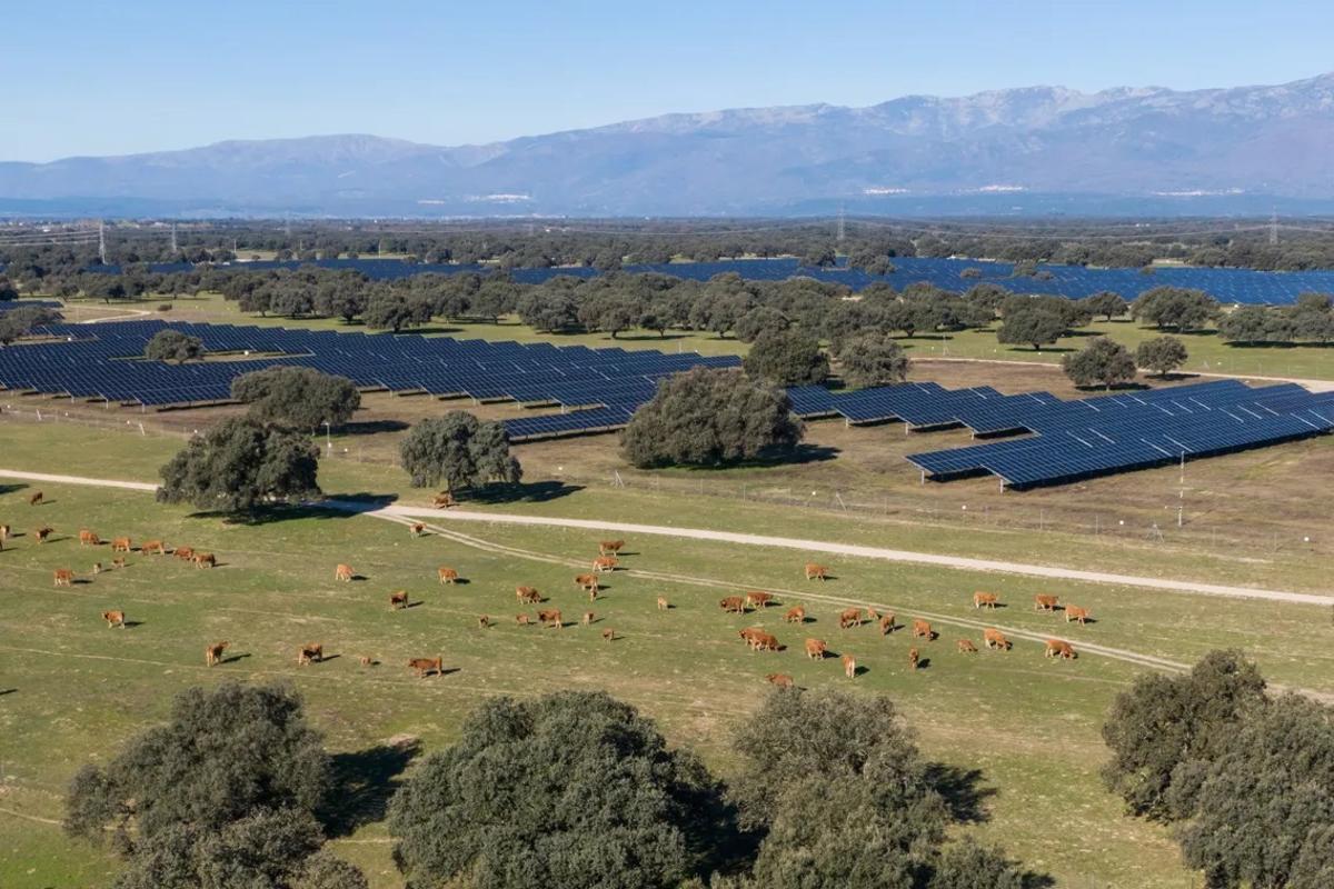 Planta solar de Statkraft, Talayuela II, en Cáceres.