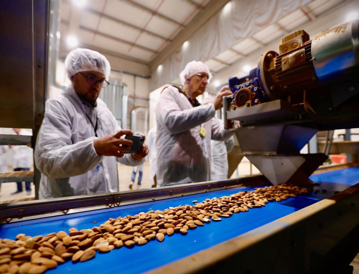 Instalaciones de procesamiento de almendras en Córdoba de Dcoop.