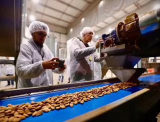 La cotización de la almendra aumenta un 65% respecto al año pasado