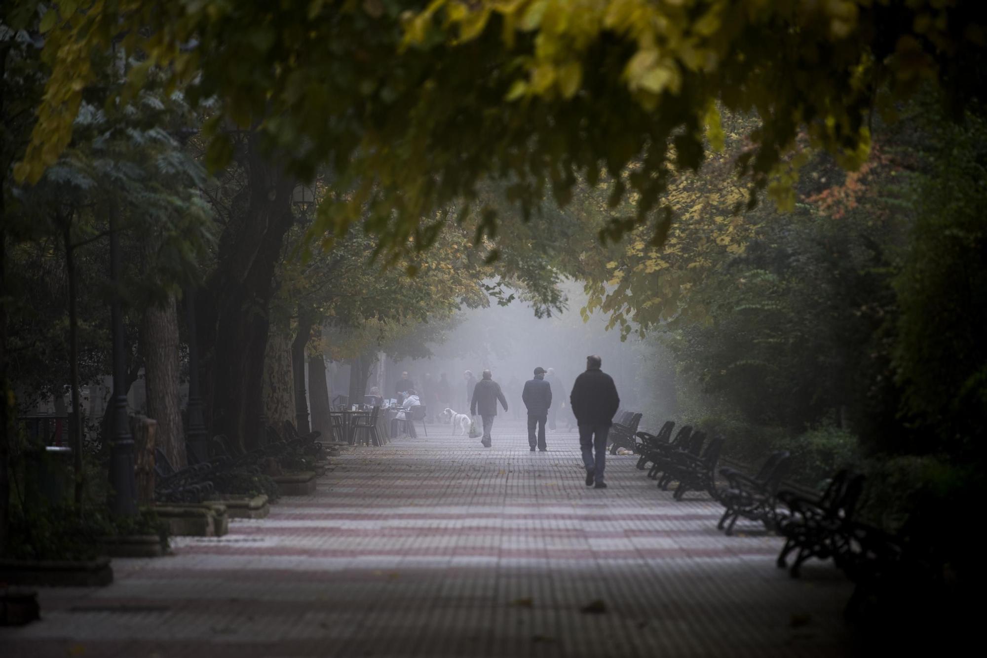 Fotogalería |  Así es Cáceres bajo la niebla