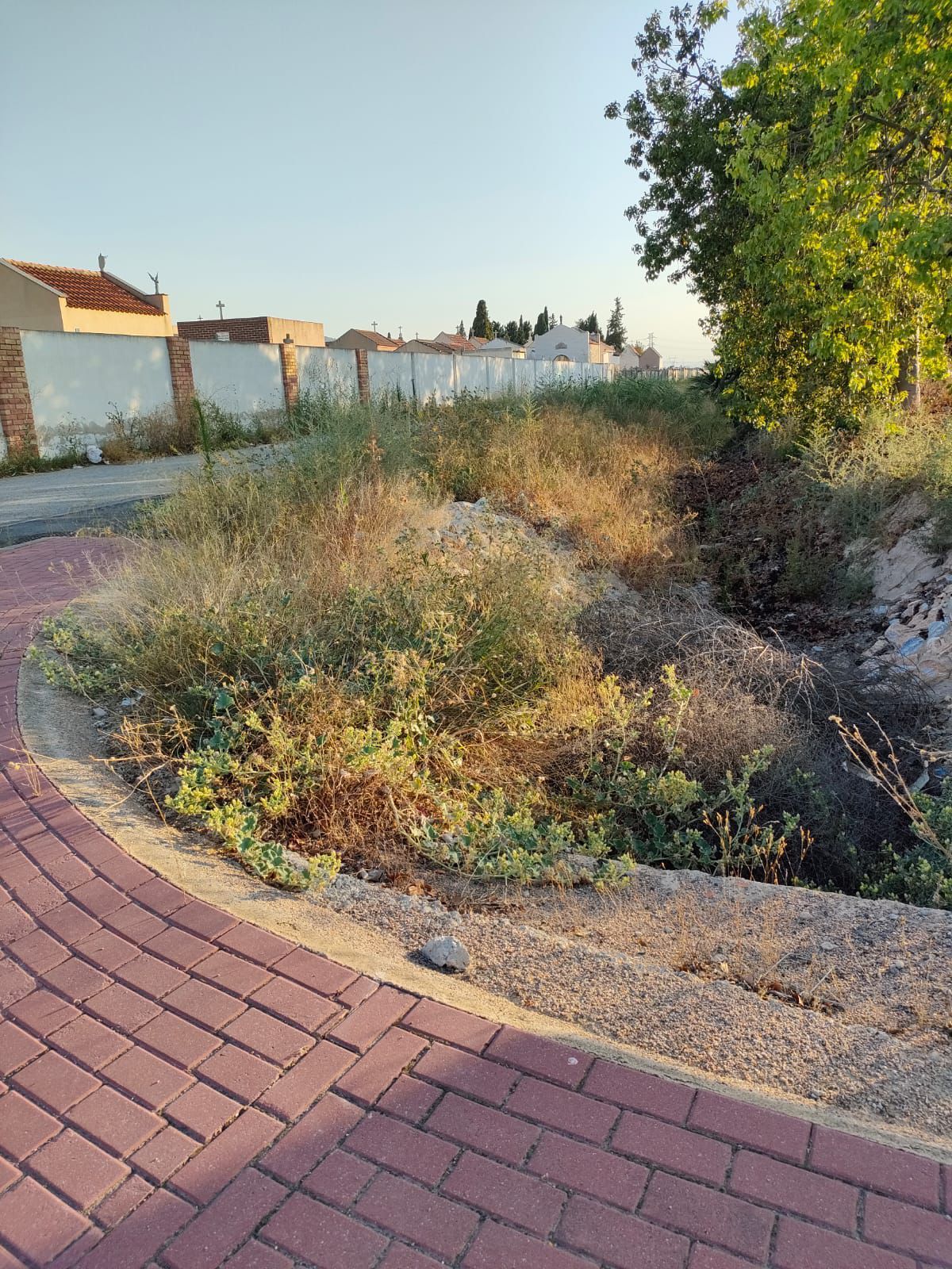 WhatsApp Image 2025-09-30 at 21.34.20 (5).jpeg