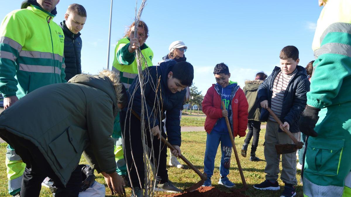 Fotogalería I Escolares de Vila-real participan en el Día del Árbol