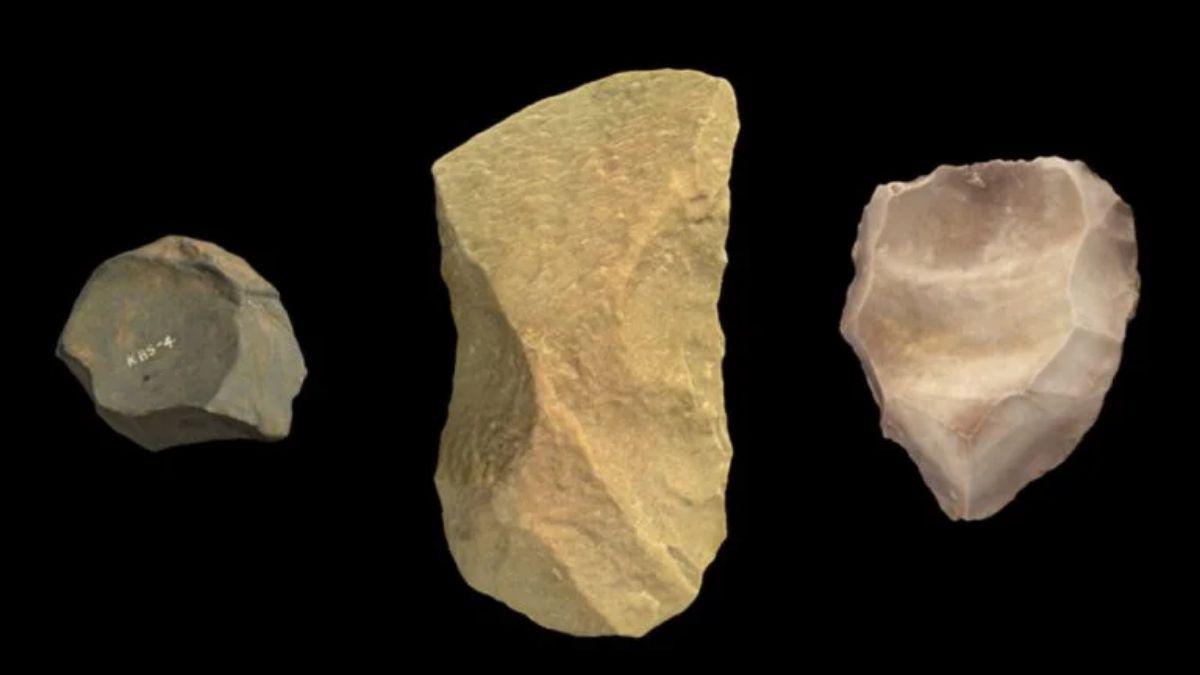 Herramientas de piedra que se vuelven cada vez más complejas a lo largo de 3 millones de años, con un punto de inflexión en su avance hace 600.000 años.