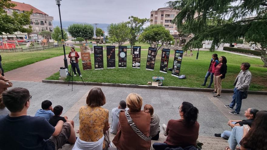 Moaña concentra la mitad de los mosquitos tigre identificados en Galicia