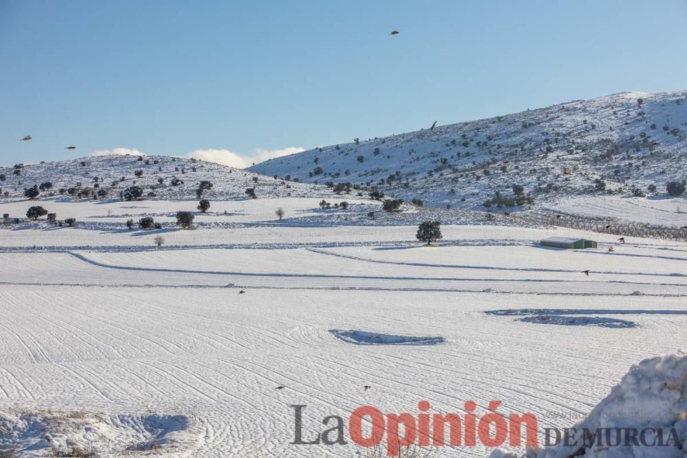 La nieve sigue siendo protagonista en el Noroeste