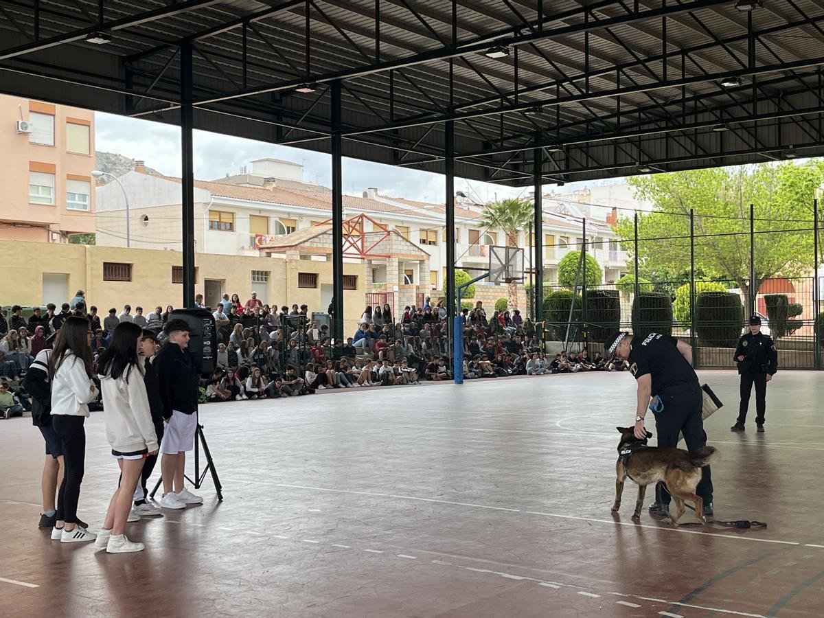 La exihición de la unidades caninas de la Policia Nacional y la Policia Local de Pinoso del curso del Agente Tour en Petrer.