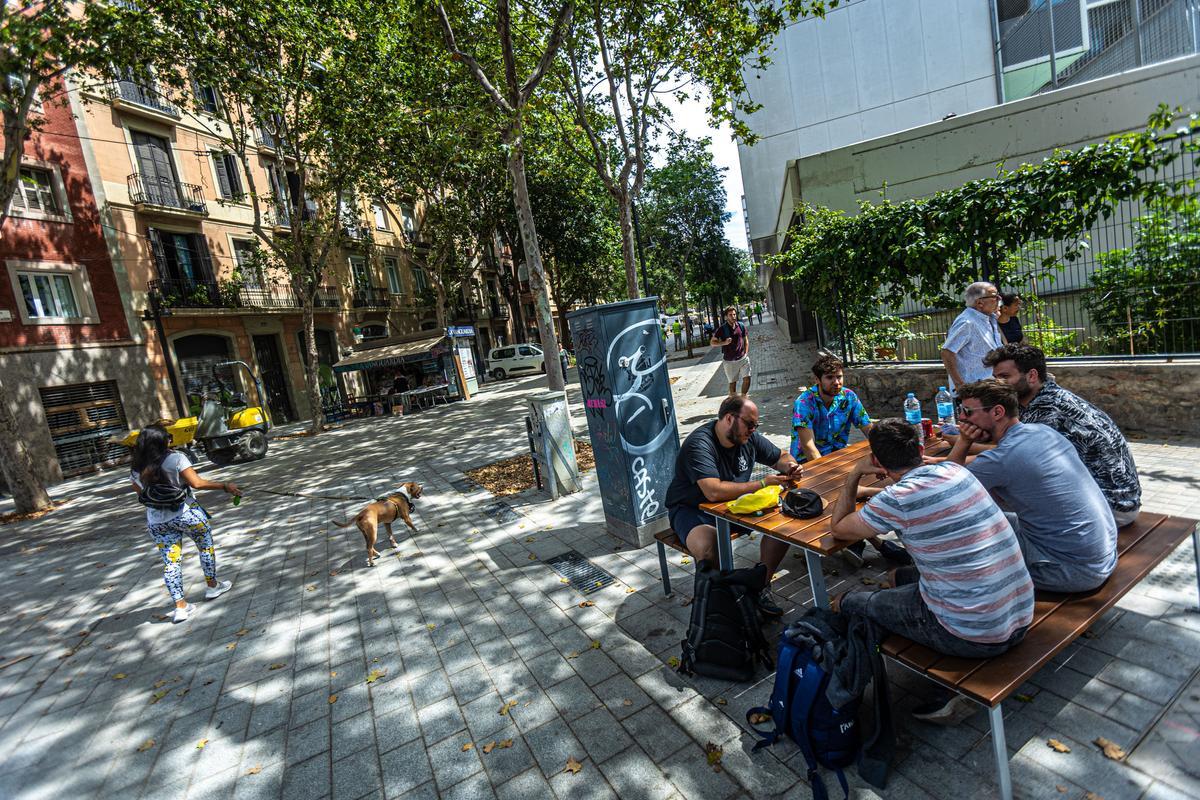 Escenas inesperadas de la Superilla del Eixample