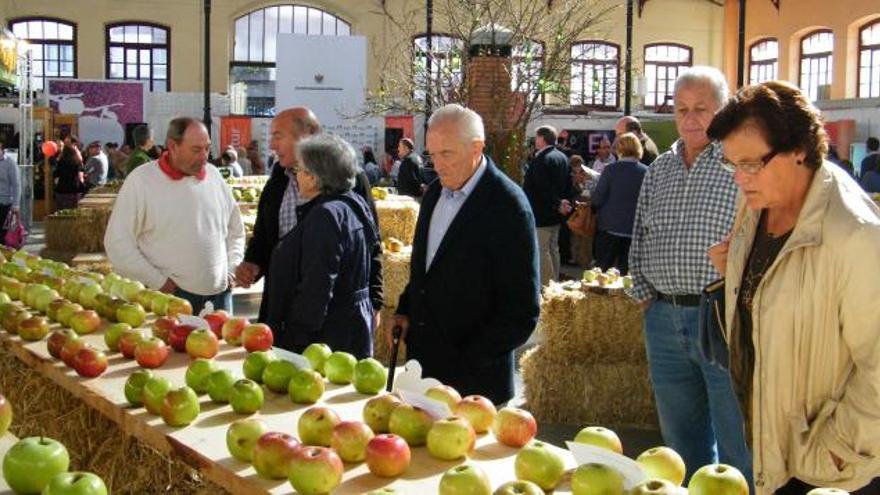 Ambiente, ayer, en los puestos expositivos del Festival de la Manzana.