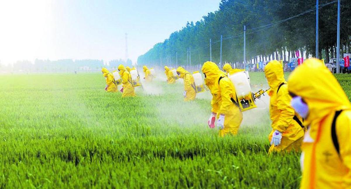 Els pesticides, un delsmolts elements quecontenen PFAS. | SHUTTERSTOCK