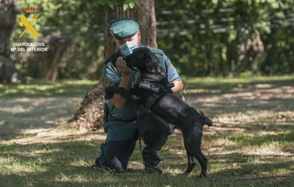 Dos nuevos cachorros policiales para Asturias