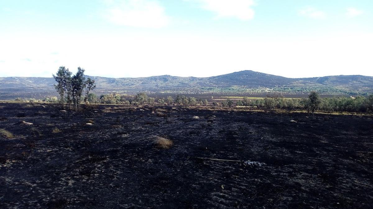 Vista de la Sierra tras el incendio.