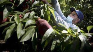 zentauroepp53977304 lleida200703162315