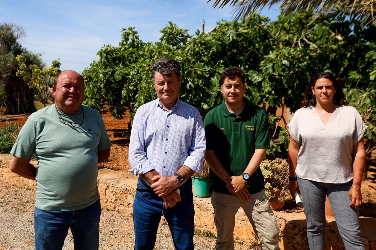 Galería: Los productores de Ibiza recogerán 2,7 millones de kilos de patata en 2025
