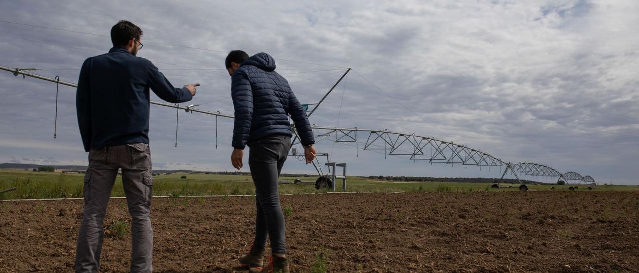 Dos jóvenes agricultores caminan por una tierra de regadío en Moreruela de Tábara. | Ana Burrieza