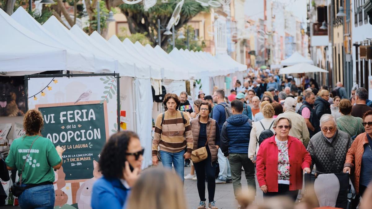 La VII Feria de Adopción tendrá lugar este fin de semana.