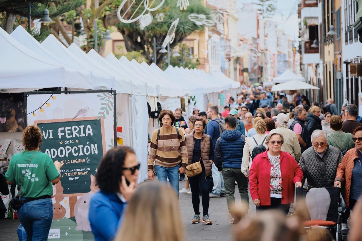 La VII Feria de Adopción tendrá lugar este fin de semana.