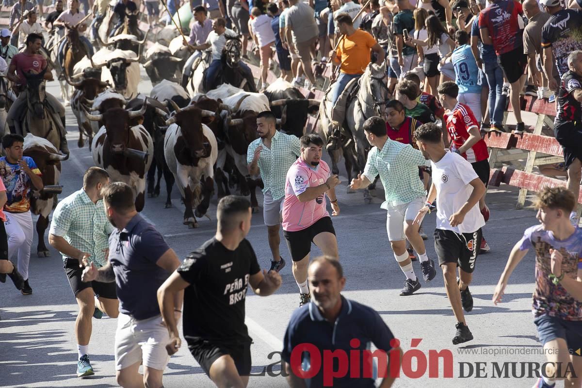 Séptimo encierro de las Fiestas de Moratalla