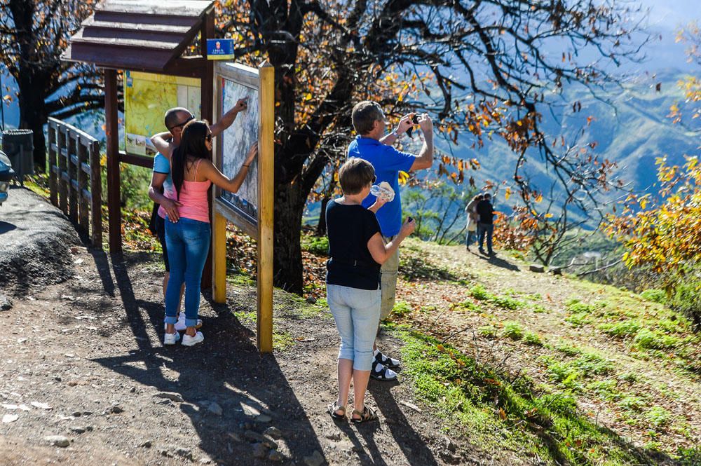 AMBIENTE TURISTAS EN TEJEDA