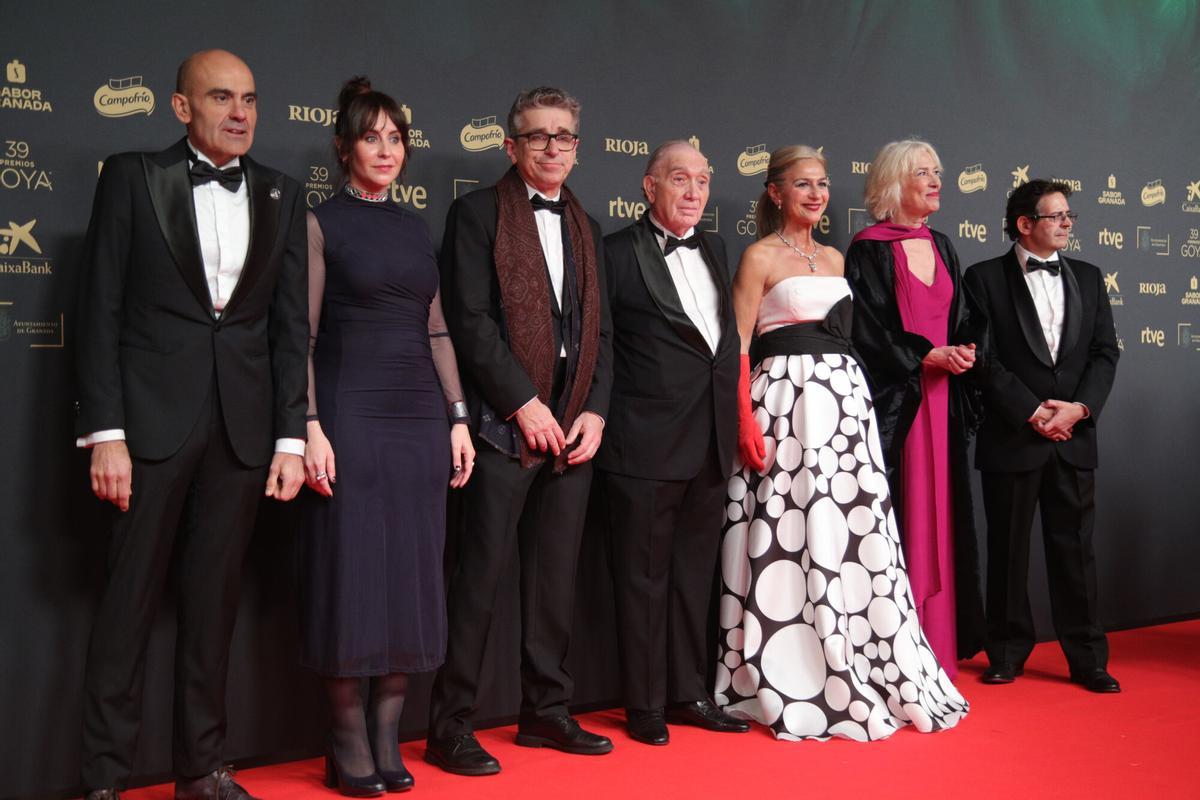 GRANADA, 08/02/2025.- El presidente de la Academia de las Artes y las Ciencias Cinematográficas de España,  Fernando Méndez-Leite (4 dcha), junto al equipo directivo posan en la alfombra roja de la 39 edición de los Premios Goya de la Academia de Cine que se celebra este sábado en el Palacio de Congresos y Exposiciones de Granada. EFE/ Pepe Torres