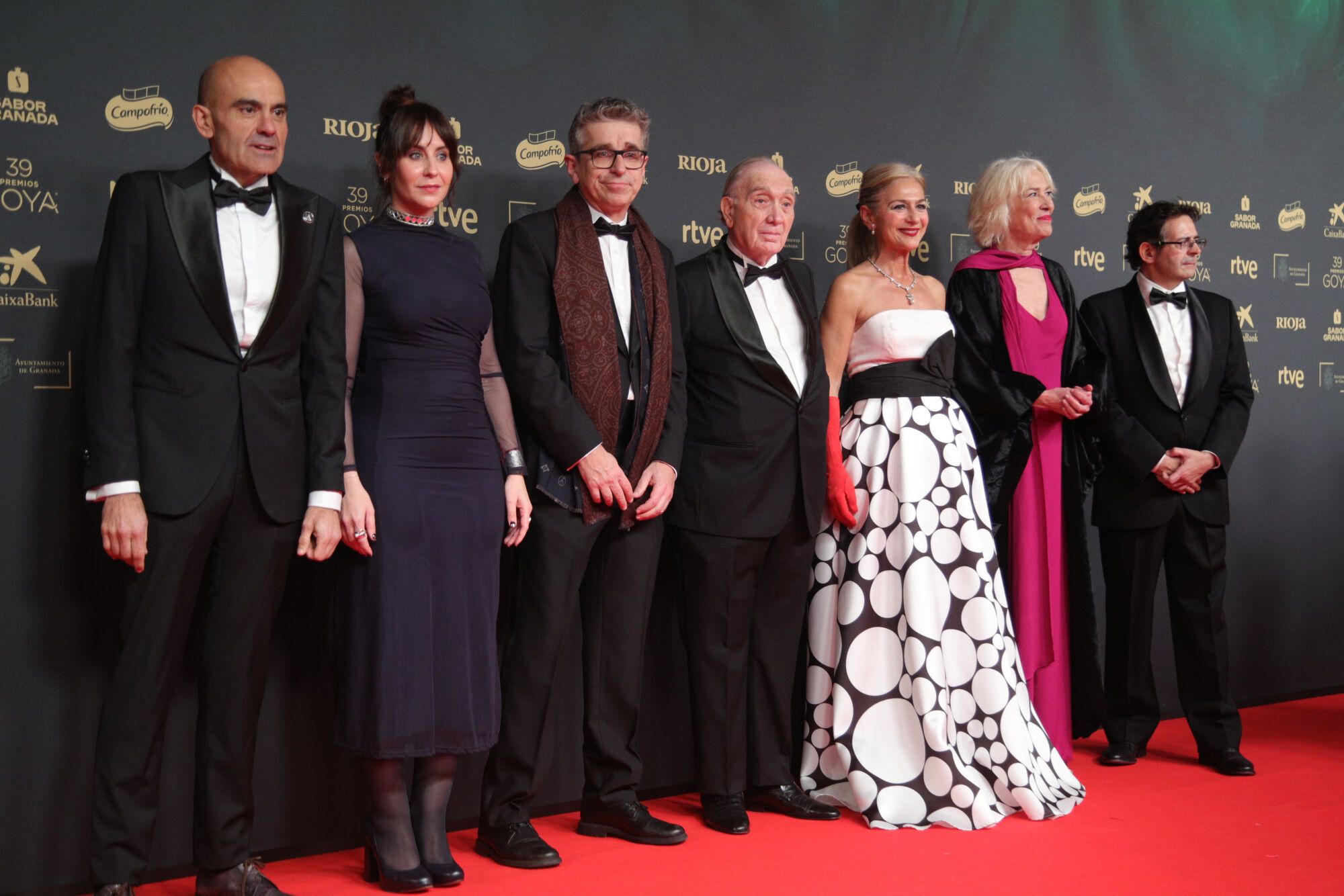 GRANADA, 08/02/2025.- El presidente de la Academia de las Artes y las Ciencias Cinematográficas de España,  Fernando Méndez-Leite (4 dcha), junto al equipo directivo posan en la alfombra roja de la 39 edición de los Premios Goya de la Academia de Cine que se celebra este sábado en el Palacio de Congresos y Exposiciones de Granada. EFE/ Pepe Torres
