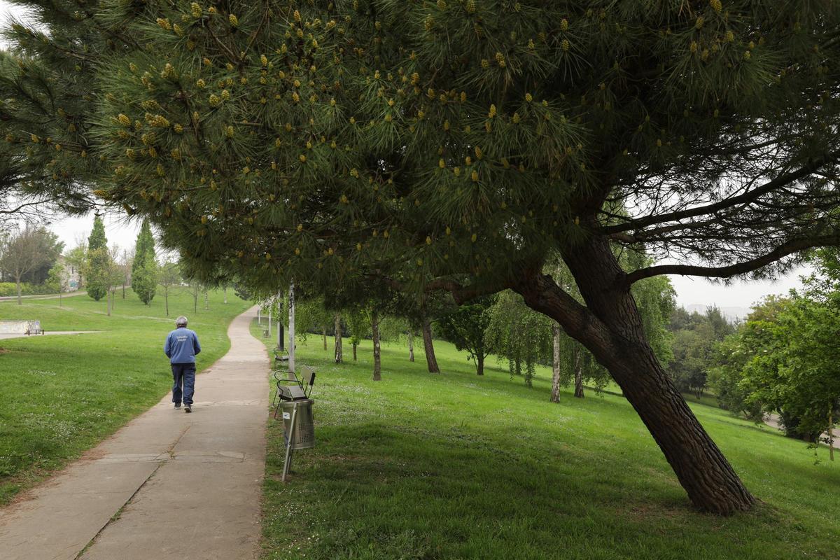 Vista del parque de los Pericones.