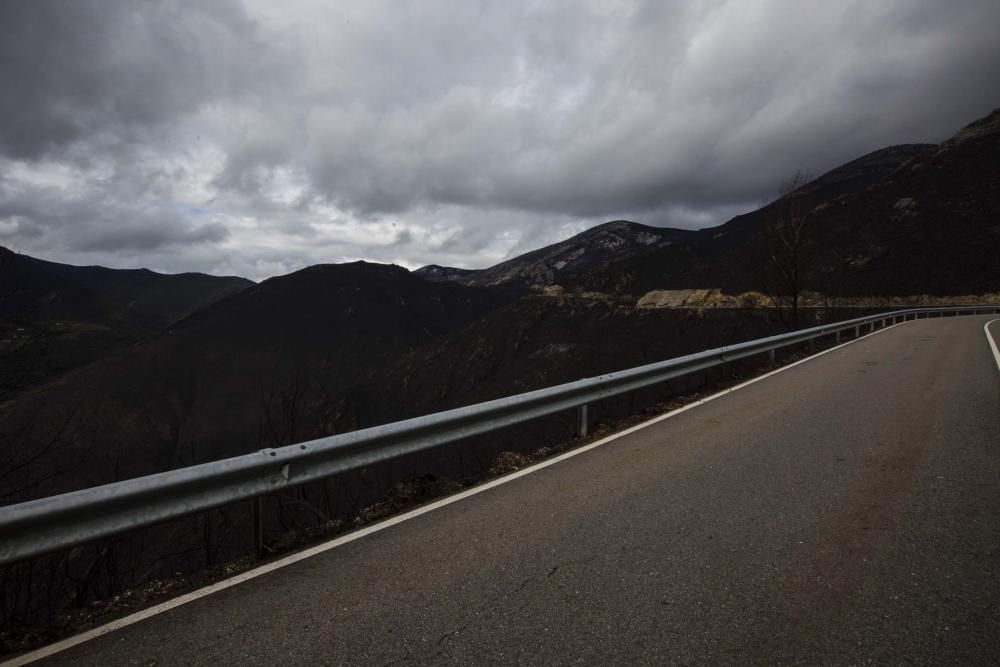 Desolación en el suroccidente asturiano tras los incendios