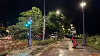 La borrasca Claudia deja en Córdoba 73 litros y más de cien intervenciones con un vendaval que desataron el caos en dos horas