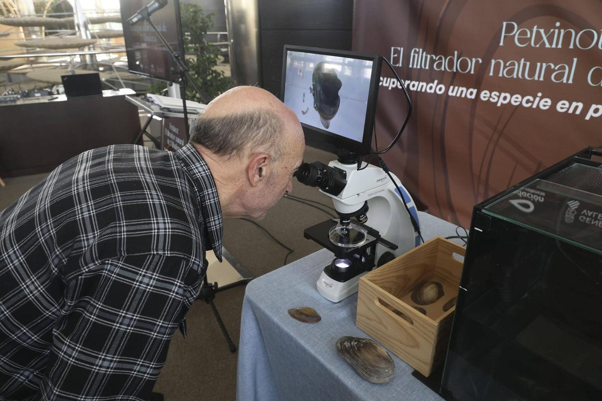 260130LEV Daniel Tor (230677707)