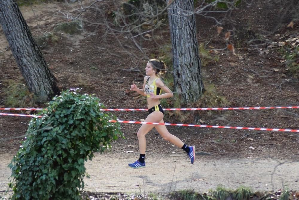 Cross Fuentes del Marqués (IV)