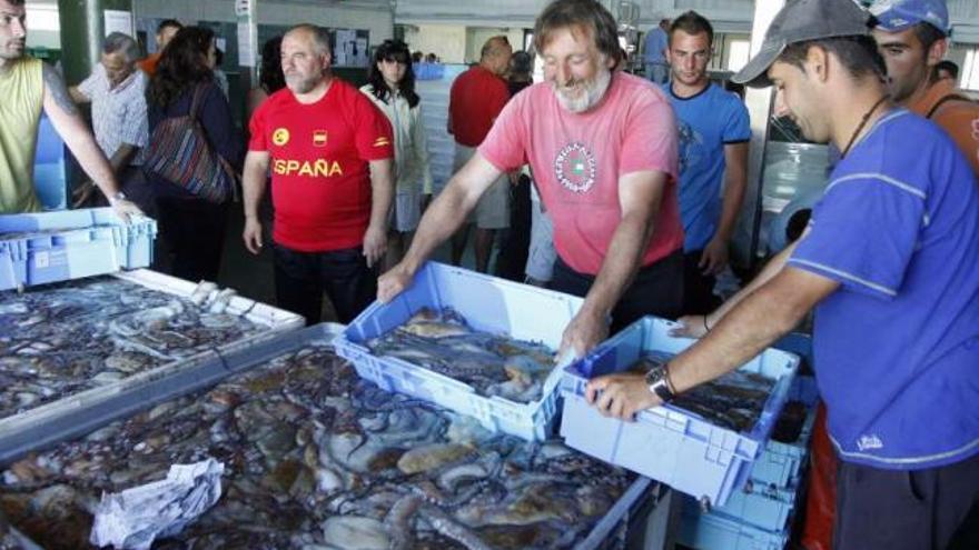 Una subasta de pulpo en la lonja de Bueu tras el final de la última veda.  // Carmen Giménez