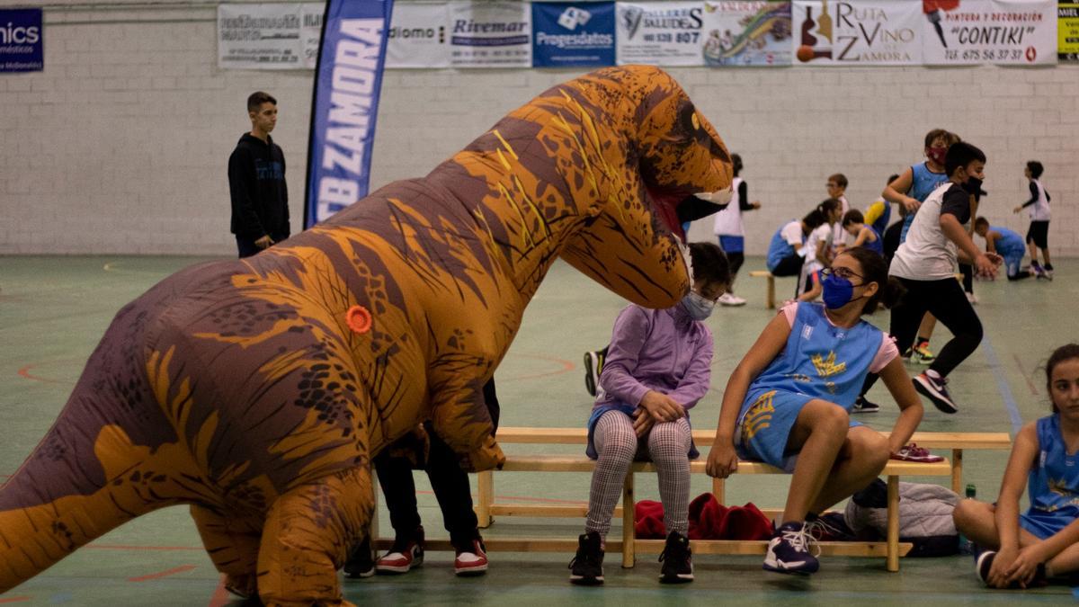 Un dinosaurio trata de comerse a una jugadora de baloncesto del CB Zamora muy asustada.