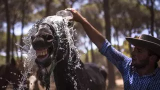 Llega la Feria de Otoño y del Caballo de Huelva 2024: fecha y programación completa