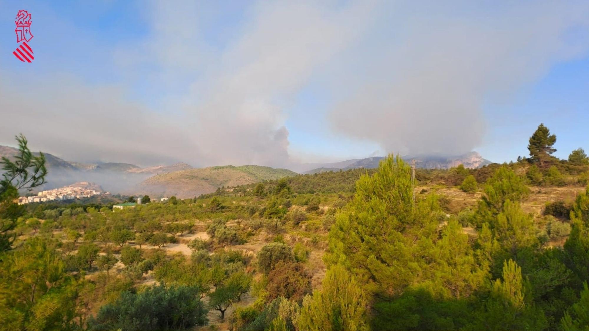 Desoladoras imágenes del incendio de Bejís